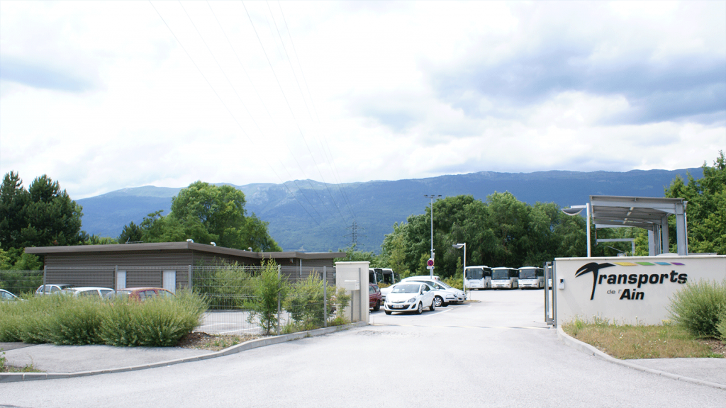 stgenis