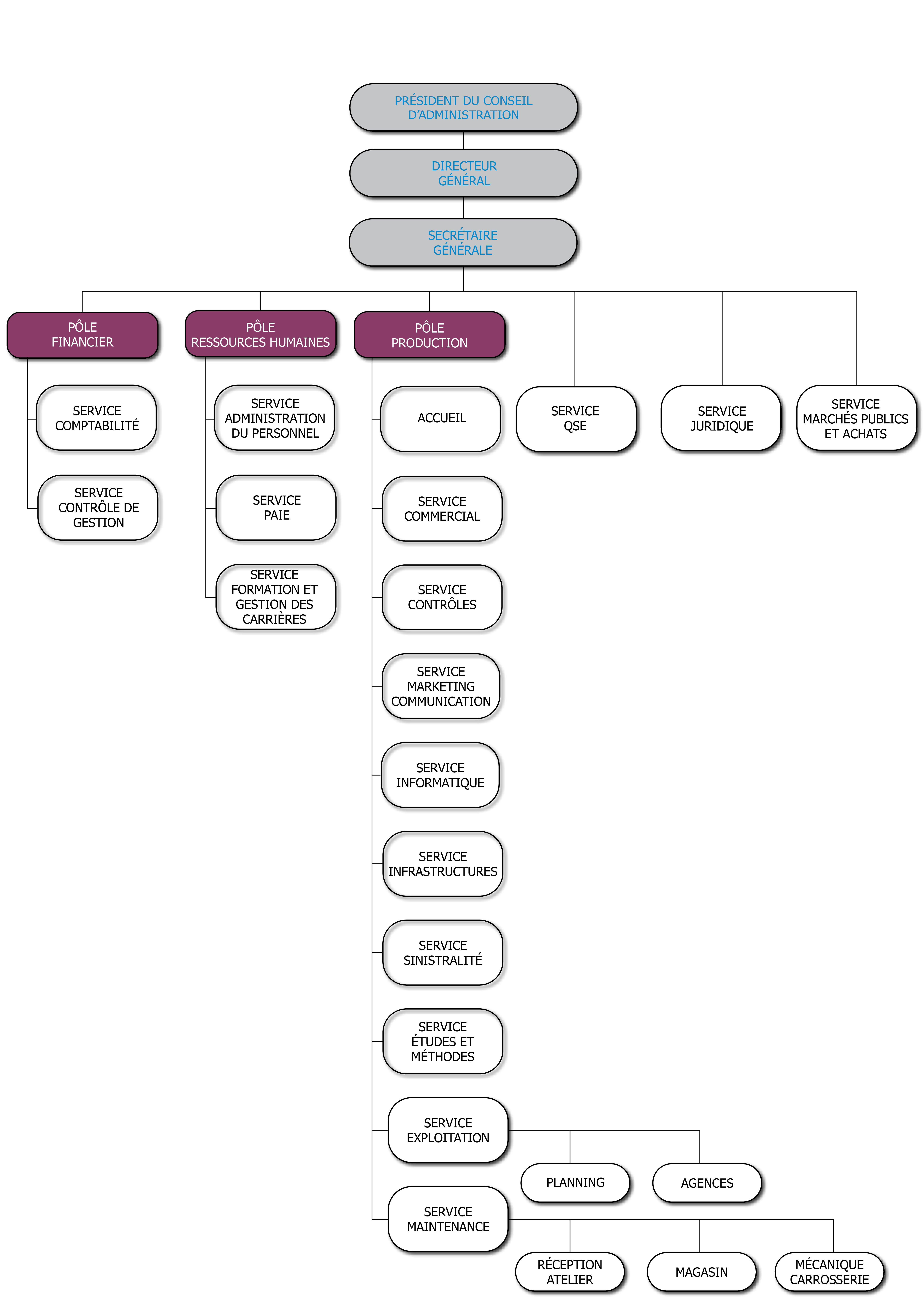 Organigramme RDTA Janvier 2021